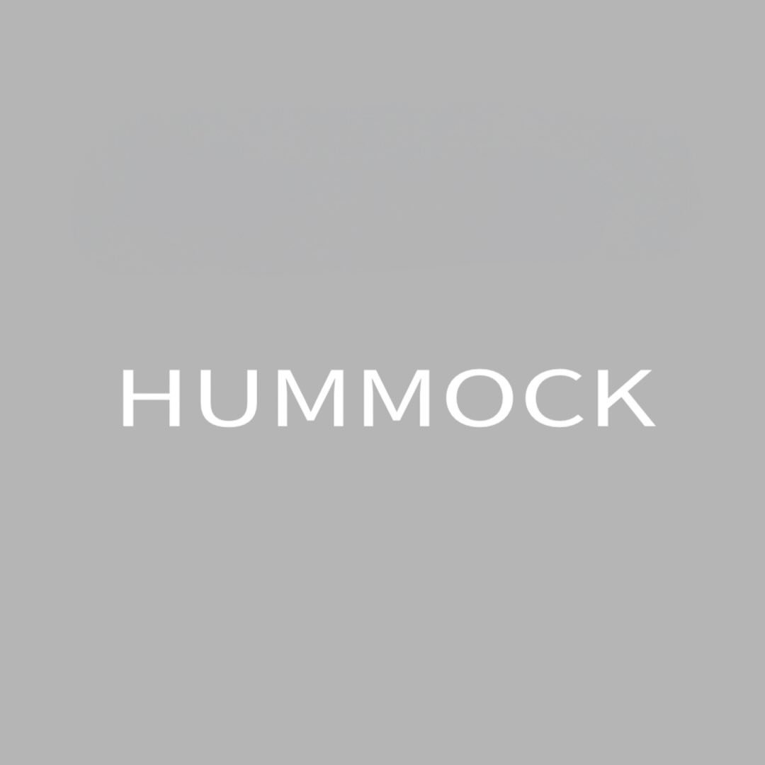 hummock 山丘地